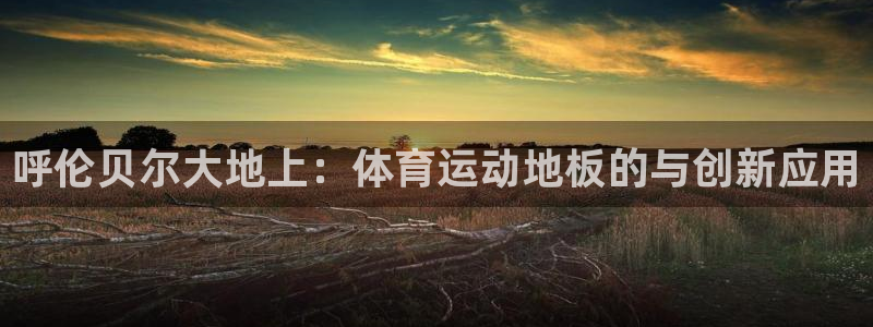 菲律宾ug环球官网：呼伦贝尔大地上：体育运动地板的与创新应用