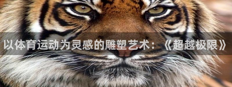 ug环球官网登录入口：以体育运动为灵感的雕塑艺术：《超越极限》