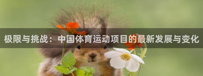 ug环球官网注册：极限与挑战：中国体育运动项目的最新发展与变化