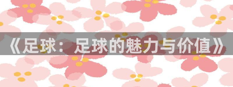 ug环球官网注册：《足球：足球的魅力与价值》